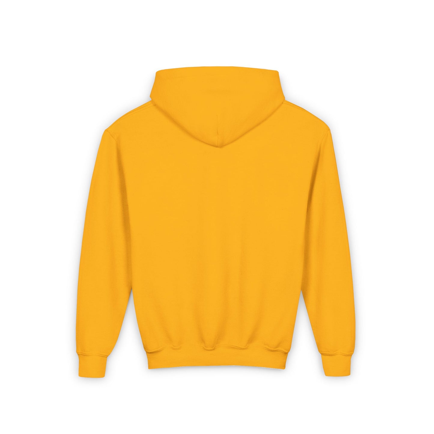 Youth Hooded Sweatshirt