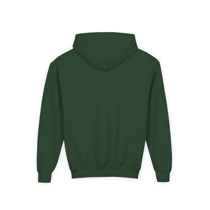 2026 Vintage Ducks Baseball Youth Hoodie