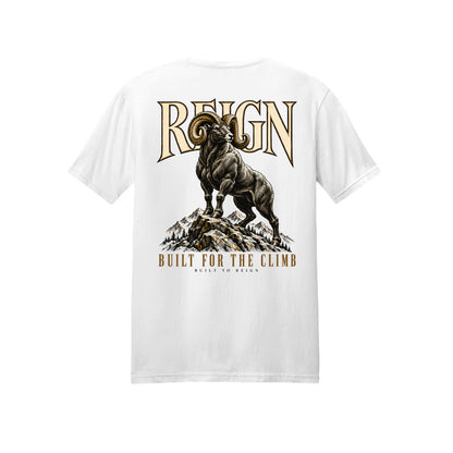 ndm:3446490